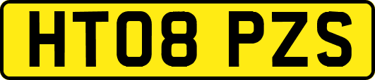 HT08PZS