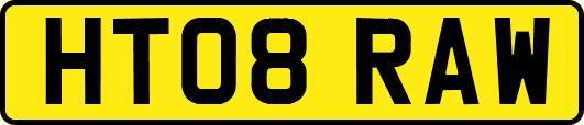 HT08RAW