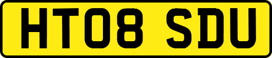 HT08SDU