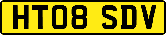 HT08SDV