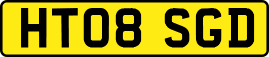 HT08SGD