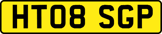 HT08SGP