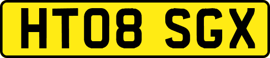 HT08SGX