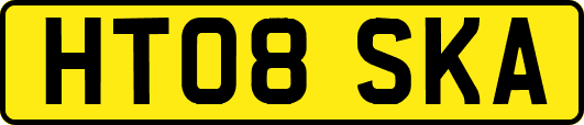 HT08SKA
