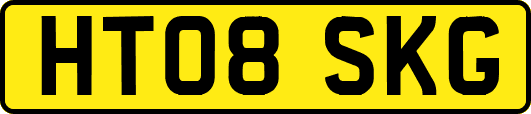 HT08SKG