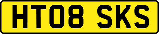 HT08SKS