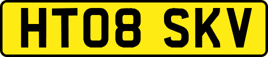HT08SKV