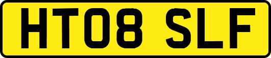 HT08SLF