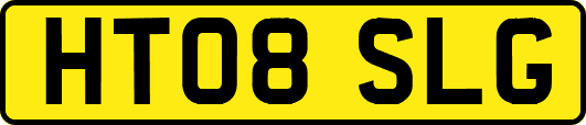 HT08SLG