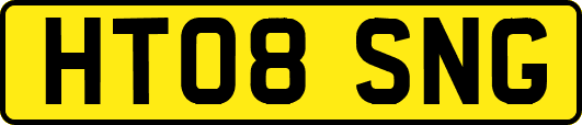 HT08SNG