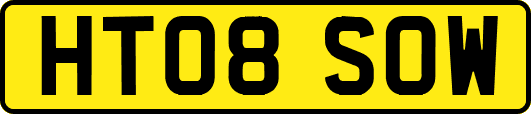 HT08SOW