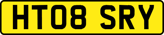 HT08SRY