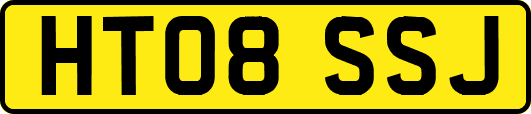 HT08SSJ
