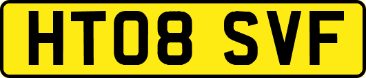 HT08SVF