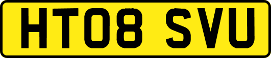 HT08SVU