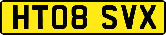 HT08SVX
