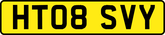 HT08SVY