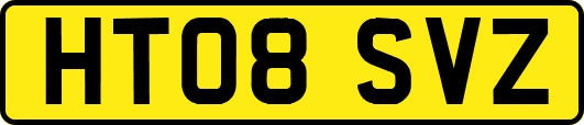 HT08SVZ