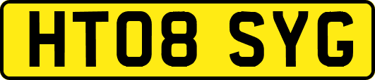 HT08SYG