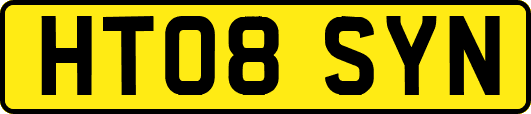 HT08SYN