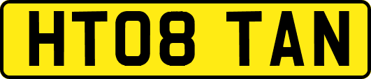 HT08TAN