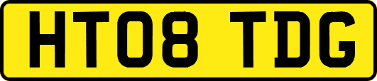 HT08TDG