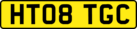 HT08TGC