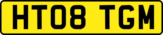 HT08TGM