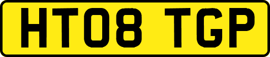 HT08TGP