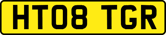 HT08TGR