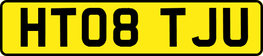 HT08TJU
