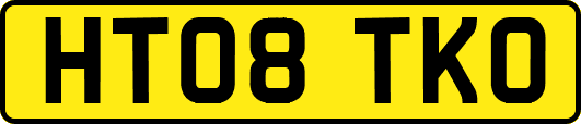 HT08TKO