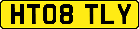 HT08TLY