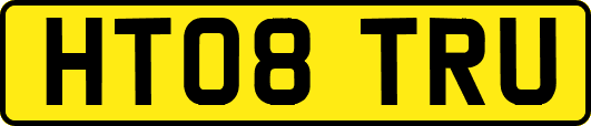 HT08TRU
