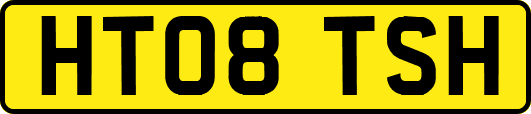 HT08TSH
