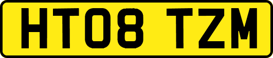 HT08TZM