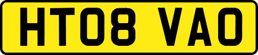 HT08VAO