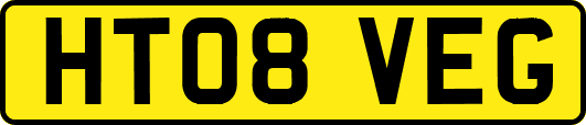 HT08VEG