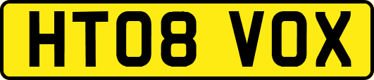 HT08VOX