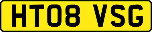 HT08VSG