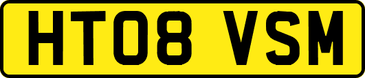 HT08VSM