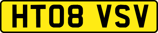 HT08VSV