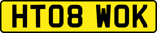 HT08WOK