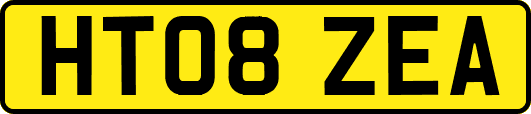 HT08ZEA