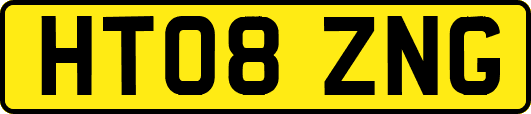 HT08ZNG