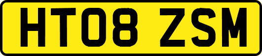 HT08ZSM