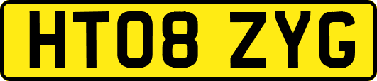 HT08ZYG