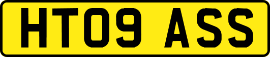 HT09ASS