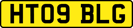 HT09BLG