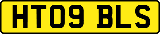 HT09BLS